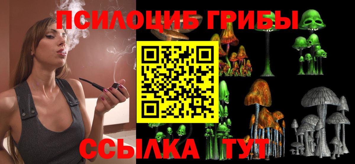 Галлюциногенные грибы Psilocybe  Галлюциногенные грибы мицелий  Черногорск  цена   Вход с VPN 